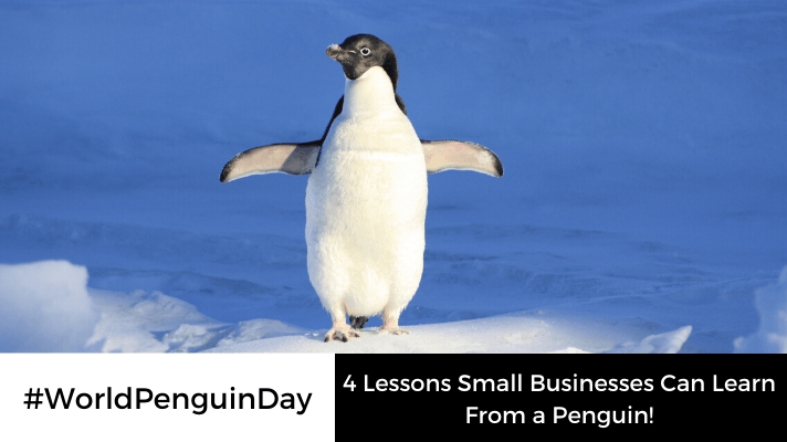 4 Lessons Small Businesses Can Learn From a Penguin!